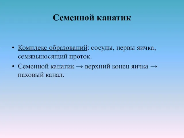 Семенной канатик Комплекс образований: сосуды, нервы яичка, семявыносящий проток. Семенной