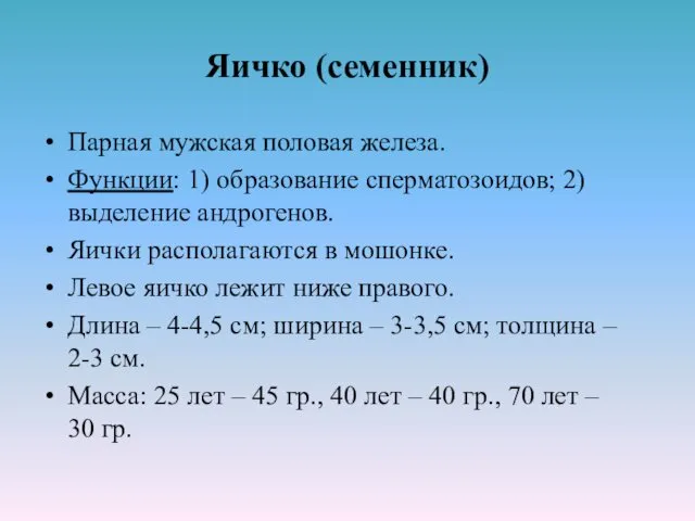 Яичко (семенник) Парная мужская половая железа. Функции: 1) образование сперматозоидов;