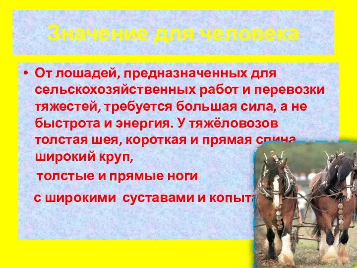 Значение для человека От лошадей, предназначенных для сельскохозяйственных работ и перевозки тяжестей, требуется