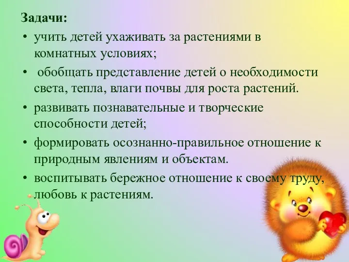 Задачи: учить детей ухаживать за растениями в комнатных условиях; обобщать