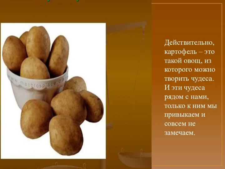 Действительно, картофель – это такой овощ, из которого можно творить