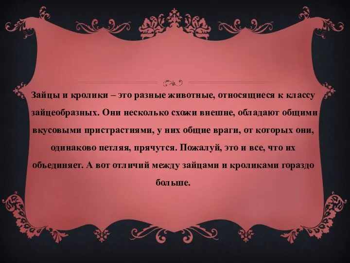 Зайцы и кролики – это разные животные, относящиеся к классу