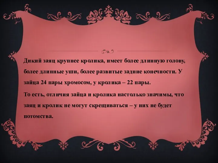 Дикий заяц крупнее кролика, имеет более длинную голову, более длинные уши, более развитые