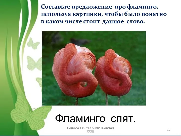 Составьте предложение про фламинго, используя картинки, чтобы было понятно в