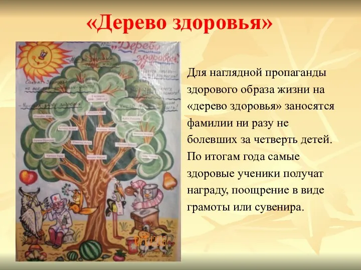 «Дерево здоровья» Для наглядной пропаганды здорового образа жизни на «дерево