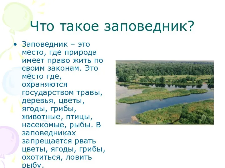 Что такое заповедник? Заповедник – это место, где природа имеет