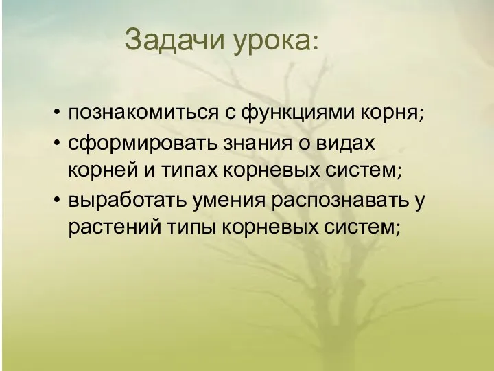 Задачи урока: познакомиться с функциями корня; сформировать знания о видах