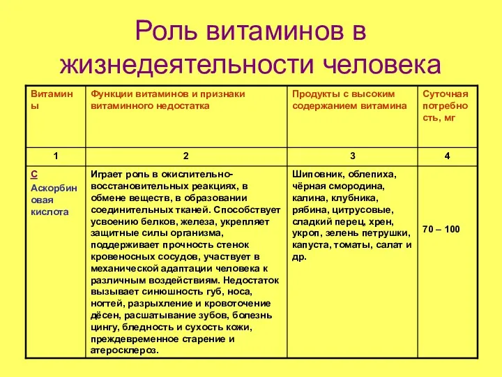 Роль витаминов в жизнедеятельности человека