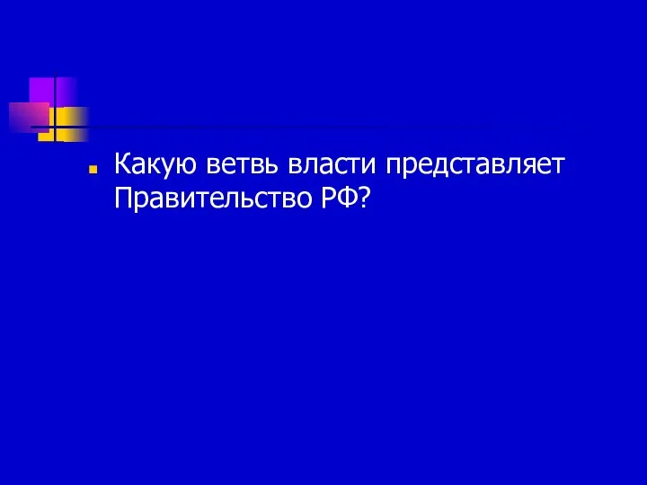 Какую ветвь власти представляет Правительство РФ?