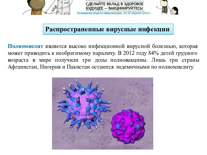 Распространенные вирусные инфекции Полиомиелит является высоко инфекционной вирусной болезнью, которая