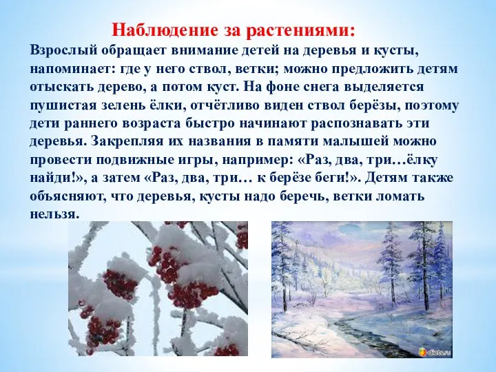 Наблюдение за растениями: Взрослый обращает внимание детей на деревья и кусты, напоминает: где