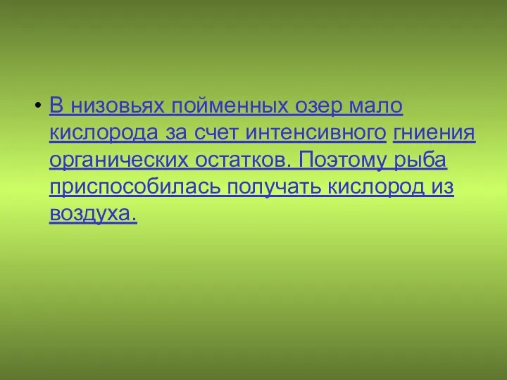 В низовьях пойменных озер мало кислорода за счет интенсивного гниения