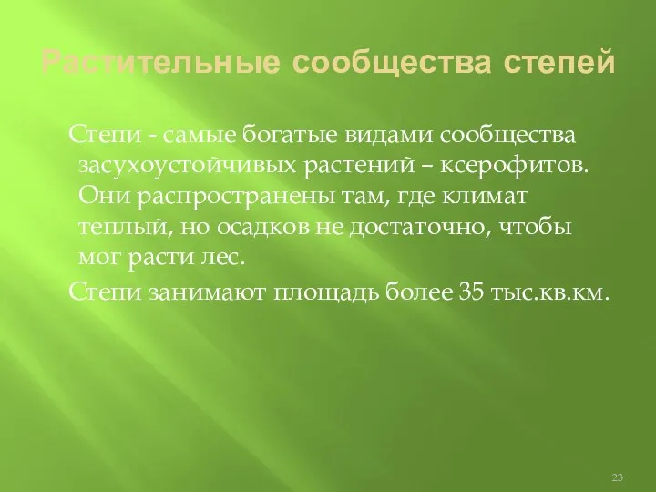 Растительные сообщества степей Степи - самые богатые видами сообщества засухоустойчивых