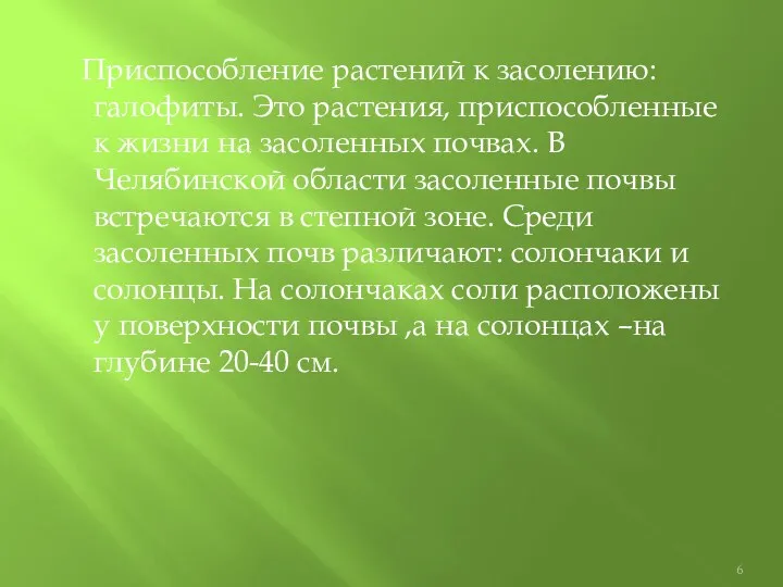 Приспособление растений к засолению: галофиты. Это растения, приспособленные к жизни