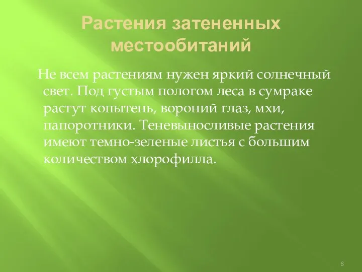 Растения затененных местообитаний Не всем растениям нужен яркий солнечный свет.