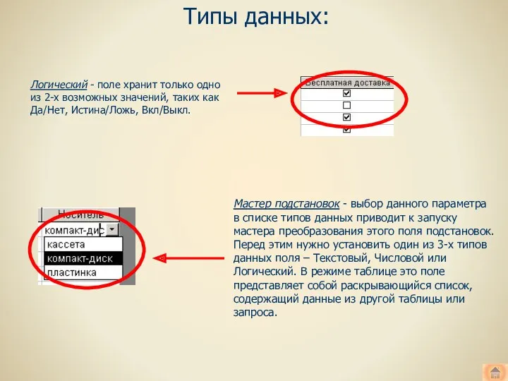 Типы данных: Логический - поле хранит только одно из 2-х