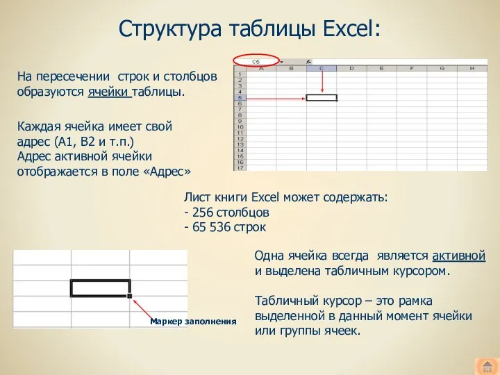 На пересечении строк и столбцов образуются ячейки таблицы. Каждая ячейка