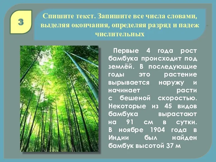 Спишите текст. Запишите все числа словами, выделяя окончания, определяя разряд