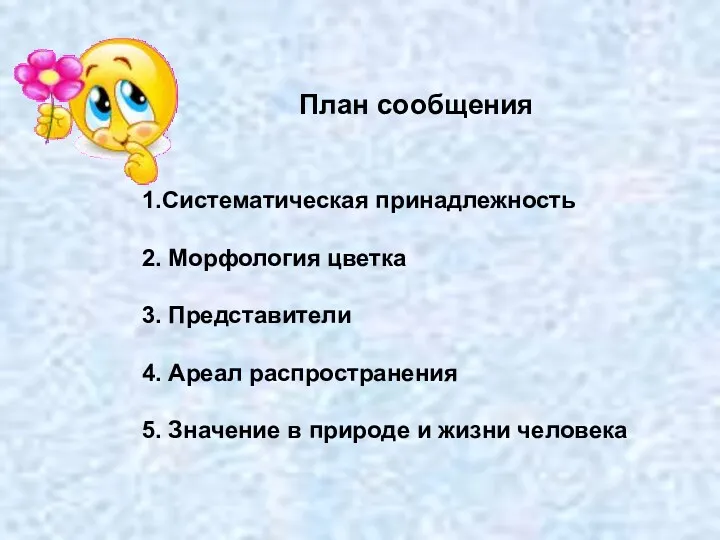 1.Систематическая принадлежность 2. Морфология цветка 3. Представители 4. Ареал распространения