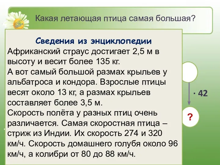 Б. Альбатрос – 54 А. Орёл – 18 Какая летающая