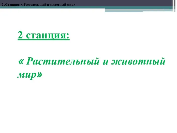 2 .Станция: « Растительный и животный мир» 2 станция: « Растительный и животный мир»