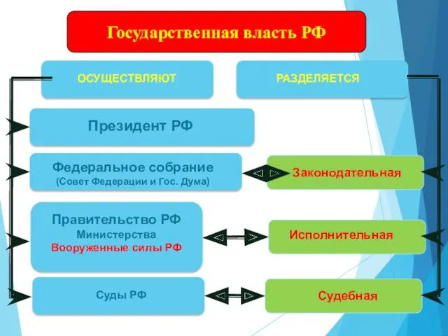 Государственная власть РФ ОСУЩЕСТВЛЯЮТ Федеральное собрание (Совет Федерации и Гос.