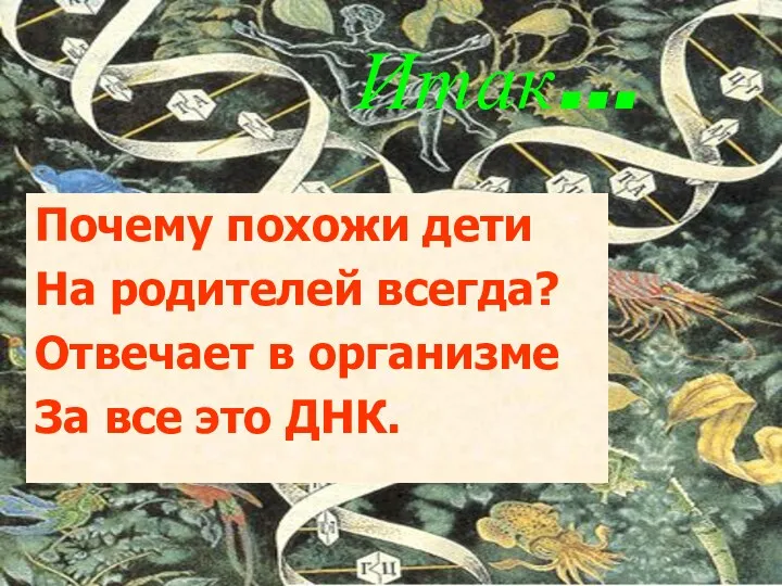 Итак… Почему похожи дети На родителей всегда? Отвечает в организме За все это ДНК.