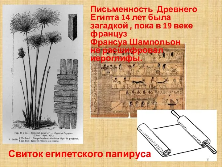 Свиток египетского папируса Письменность Древнего Египта 14 лет была загадкой