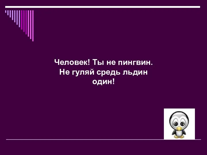 Человек! Ты не пингвин. Не гуляй средь льдин один!