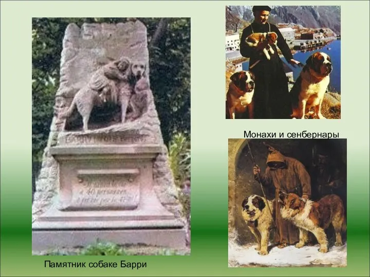 Монахи и сенбернары Памятник собаке Барри