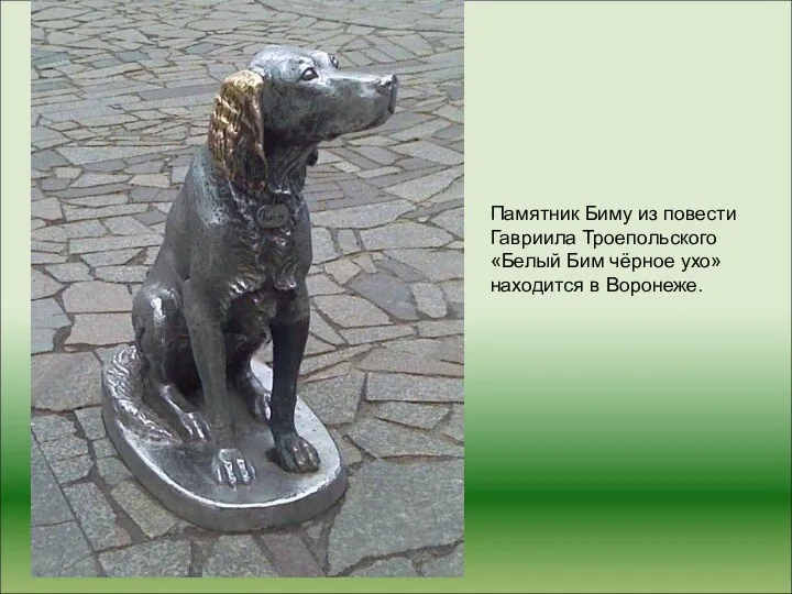 Памятник Биму из повести Гавриила Троепольского «Белый Бим чёрное ухо» находится в Воронеже.