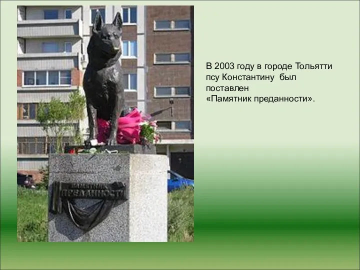 В 2003 году в городе Тольятти псу Константину был поставлен «Памятник преданности».