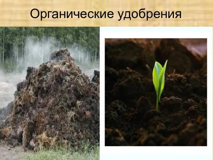 Органические удобрения