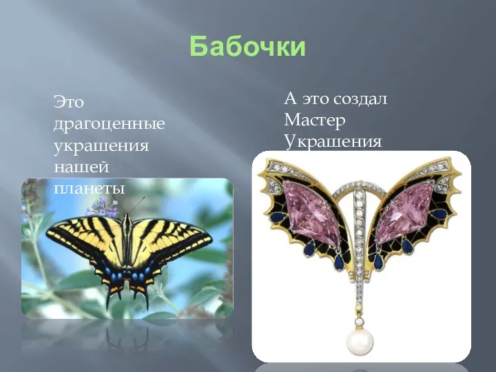 Бабочки А это создал Мастер Украшения Это драгоценные украшения нашей планеты