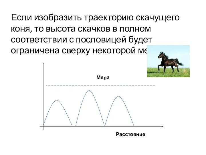 Если изобразить траекторию скачущего коня, то высота скачков в полном соответствии с пословицей