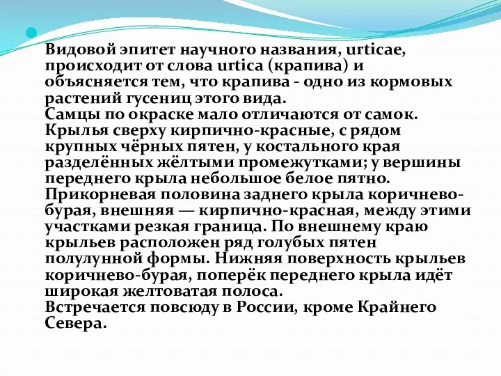 Видовой эпитет научного названия, urticae, происходит от слова urtica (крапива)