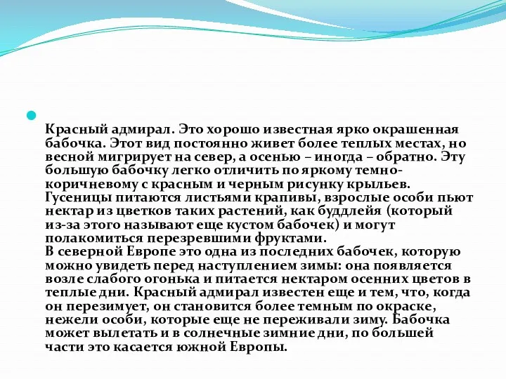 Красный адмирал. Это хорошо известная ярко окрашенная бабочка. Этот вид