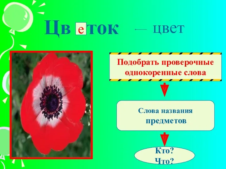 Цв ток Подобрать проверочные однокоренные слова Слова названия предметов цвет е Кто? Что?