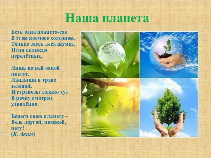 Наша планета Есть одна планета-сад В этом космосе холодном. Только здесь леса шумят,