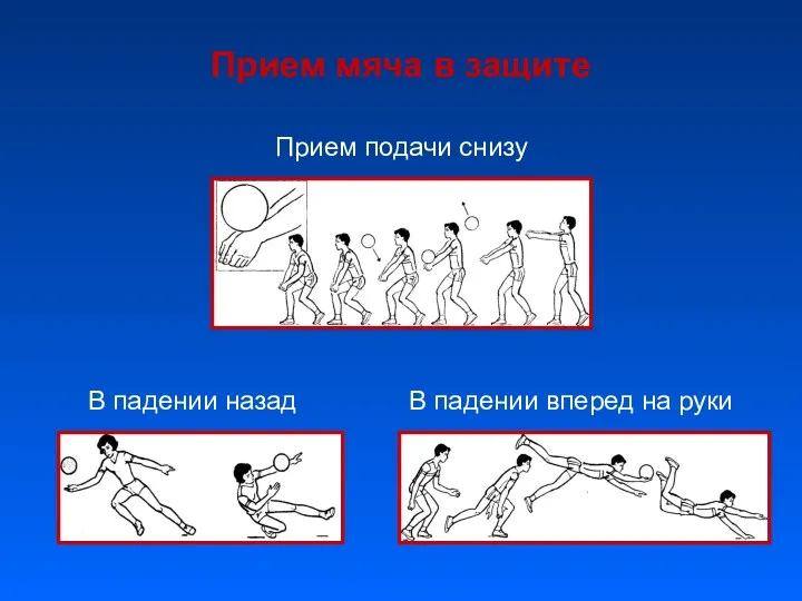 Прием мяча в защите Прием подачи снизу В падении назад В падении вперед на руки