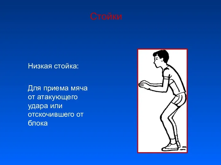 Стойки Низкая стойка: Для приема мяча от атакующего удара или отскочившего от блока