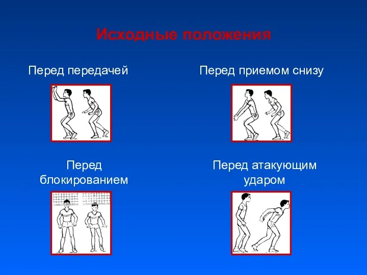 Исходные положения Перед передачей Перед приемом снизу Перед блокированием Перед атакующим ударом