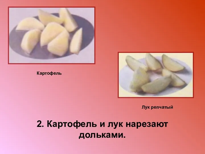 2. Картофель и лук нарезают дольками. Картофель Лук репчатый