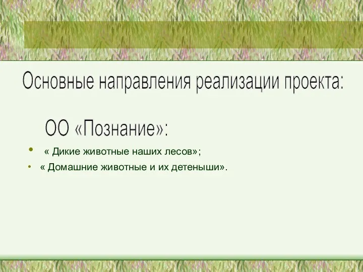 « Дикие животные наших лесов»; « Домашние животные и их