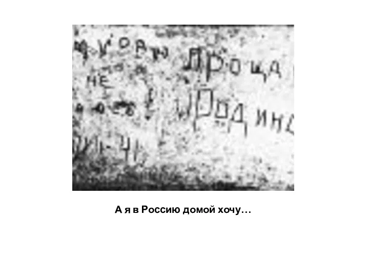 А я в Россию домой хочу…