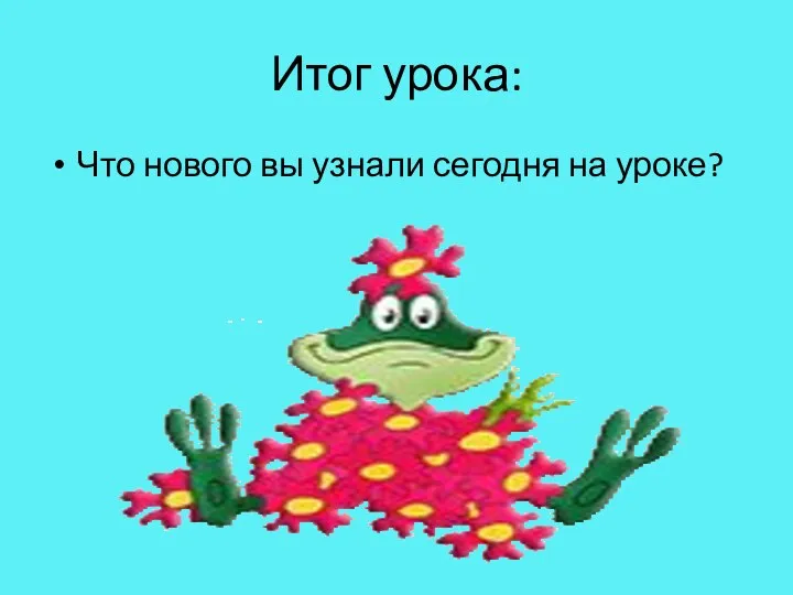 Итог урока: Что нового вы узнали сегодня на уроке?