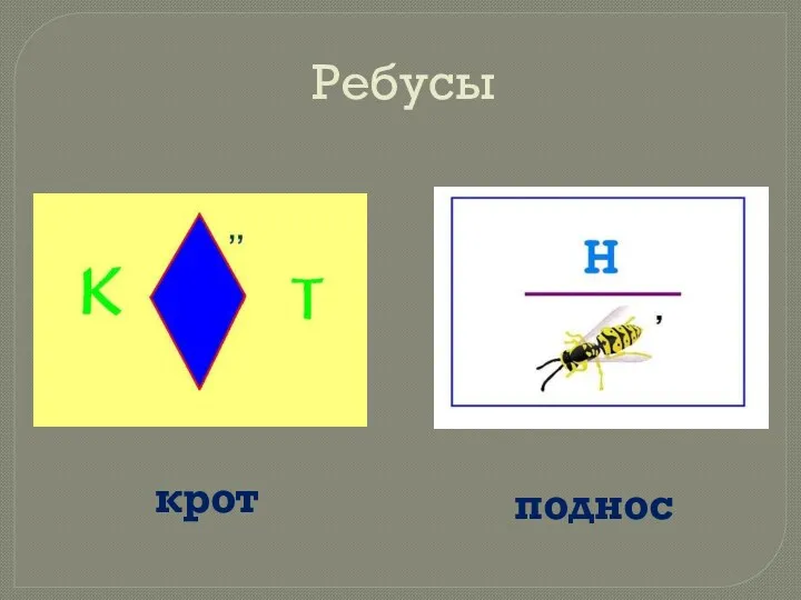 крот поднос Ребусы