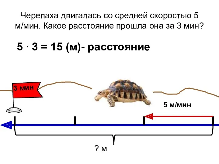 Черепаха двигалась со средней скоростью 5 м/мин. Какое расстояние прошла она за 3