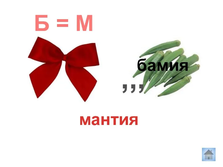 Б = М ,,, мантия бамия