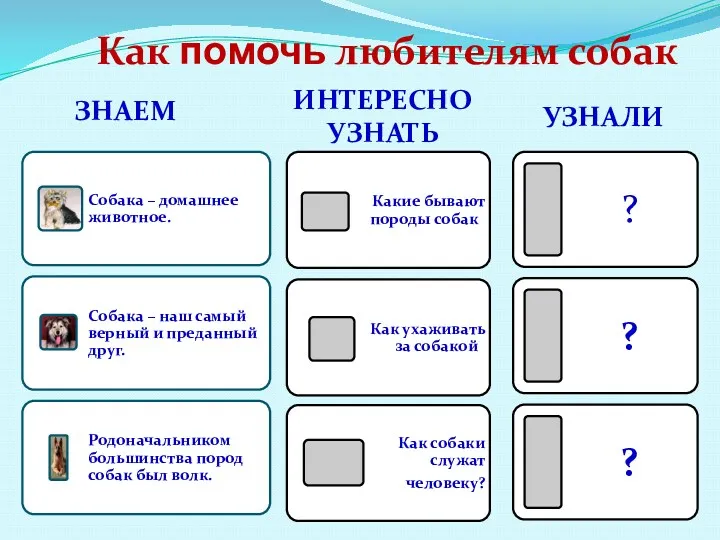 Как помочь любителям собак ЗНАЕМ ИНТЕРЕСНО УЗНАТЬ УЗНАЛИ